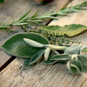 Erbe aromatiche: come conservarle