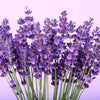 La lavanda in cucina