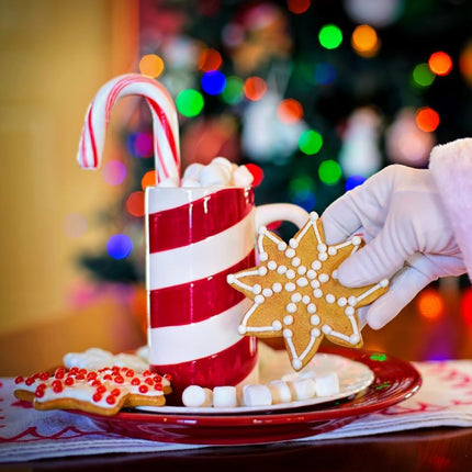 LA CENA PER BABBO NATALE (5/11 ANNI)