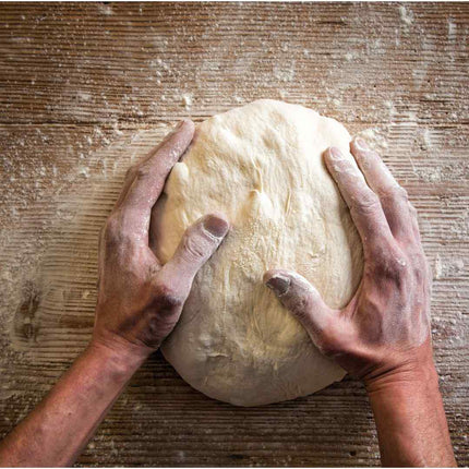 IL PROFUMO DEL FORNO